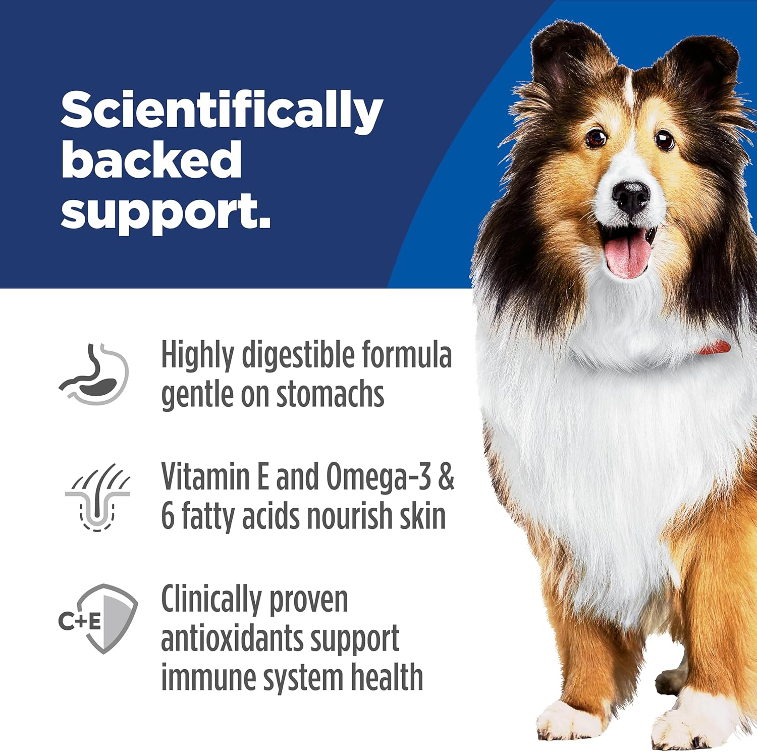 Hill's Science Diet Sensitive Stomach & Skin, Adult 1-6, Stomach Sensitivity Support, Wet Dog Food, Turkey & Rice Stew, 12.5 oz Can, Case of 12