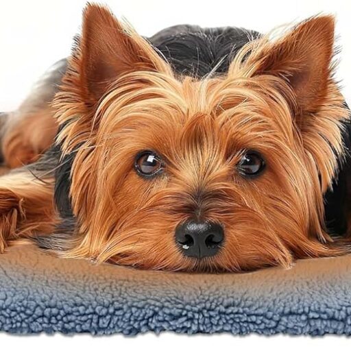 Self-Warming Dog Bed Mat