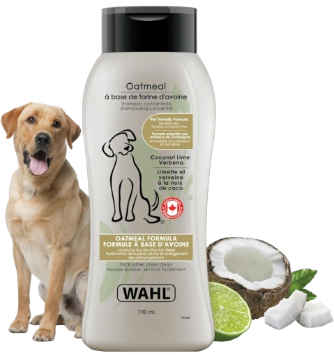 Wahl Canada Oatmeal Dog Shampoo